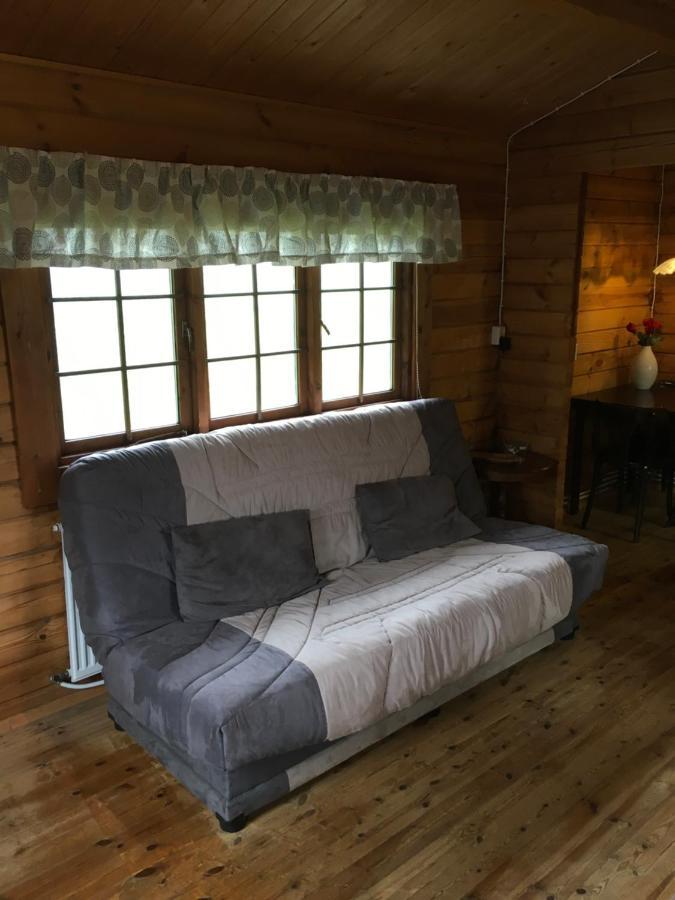 Heidi Cabin Lejlighed Reykholt  Eksteriør billede